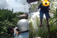 Mayat seorang pria yang ditemukan tergantung di kolong Jembatan Jalan Baru Kelurahan Tamalanrea Jaya