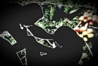 Ilustrasi Wanita diperkosa di kebun kopi (Grafis Zonafaktualnews.com)