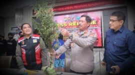 Kapolda Sulsel Irjen Nana Sudjana saat rilis kasus temuan ladang ganja. (Foto Humas)