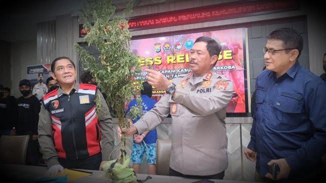 Kapolda Sulsel Irjen Nana Sudjana saat rilis kasus temuan ladang ganja. (Foto Humas)