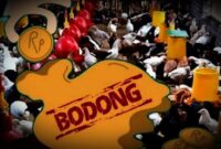 Ilustrasi Investasi Bodong Ternak Ayam