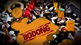 Ilustrasi Investasi Bodong Ternak Ayam