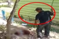 Screenahot video viral seorang ayah bengis memukuli anaknya secara brutal dan membabi buta seperti binatang