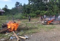 Polisi bongkar dan bakar arena sabung ayam di Nabire