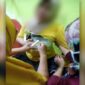Wanita yang berprofesi sebagai bidan di RSUD Syekh Yusuf, Ratnawati (34) menjadi korban pembusuran (Foto Netizen Facebook)