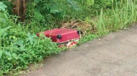 Koper merah berisi potongan tubuh manusia (Foto Istimewa)