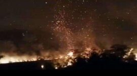Kebakaran lahan PT PAAL dan lahan warga di Desa Napai, Kecamatan Woyla Barat, (Foto Istimewa)