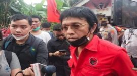 Politisi PDIP, Adian Napitupulu (Foto Istimewa)