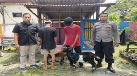 Dua pencuri kambing diamankan polisi (Foto Istimewa)