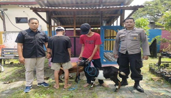 Dua pencuri kambing diamankan polisi (Foto Istimewa)