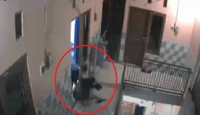 Video Viral Diduga Oknum Dosen hendak Perkosa Mahasiswi di Buleleng (Foto: Tangkapan Layar)