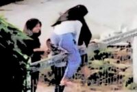 Ilustrasi Perempuan Manjat Pagar