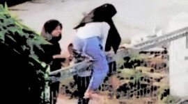 Ilustrasi Perempuan Manjat Pagar 