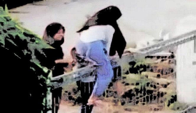 Ilustrasi Perempuan Manjat Pagar