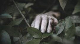 Ilustrasi foto Mayat ditemukan di Kebun, Ternyata mayat Pria