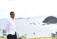 Presiden Jokowi (Foto Istimewa)