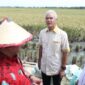 Ganjar Pranowo (Foto Istimewa)