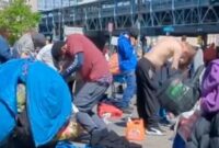 Wabah Tranq, wabah zombie di Amerika Serikat (New York Post)