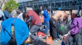 Wabah Tranq, wabah zombie di Amerika Serikat (New York Post)