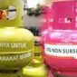 Elpiji 3 Kg ganti Cat Hiijau dengan Warna Pink