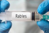 Ilustrasi Rabies