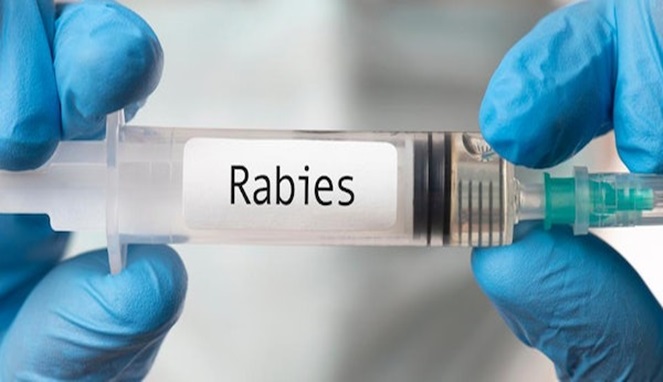 Ilustrasi Rabies
