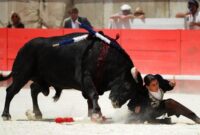 Ilustrasi Banteng menanduk matador