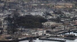 Kebakaran Hutan di Hawaii Bak Zona Perang (Foto REUTERS)