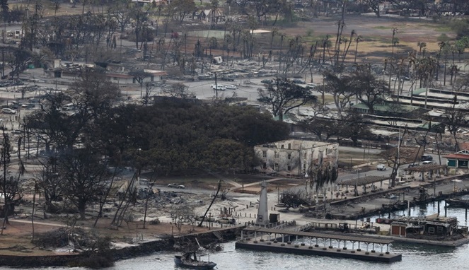 Kebakaran Hutan di Hawaii Bak Zona Perang (Foto REUTERS)