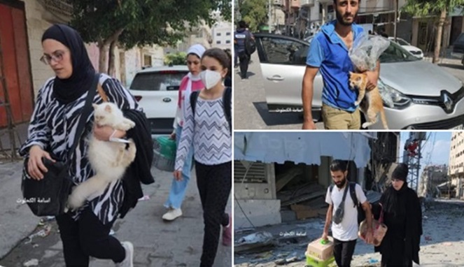 Warga Gaza membawa hewan peliharaannya saat melarikan diri dari pengeboman Israel.