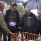 Elon Musk Nyatakan Dukungan ke Zionis Israel