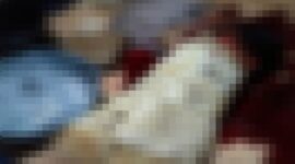 IRT di Bone Ditemukan Tewas Mengenaskan, Polisi Buru Pelaku