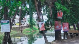 Caleg Penghuni Pohon Bertebaran di Makassar, Bawaslu Kerja Apa?