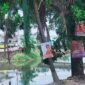 Caleg Penghuni Pohon Bertebaran di Makassar, Bawaslu Kerja Apa?