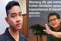 Gibran Sebut Ibu Hamil yang Dibutuhkan Asam Sulfat, Netizen : Info Menyesatkan