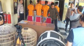 Tahanan Sabung Ayam Dilepas dan Dituding Pungli, Kapolsek Tallo Bantah