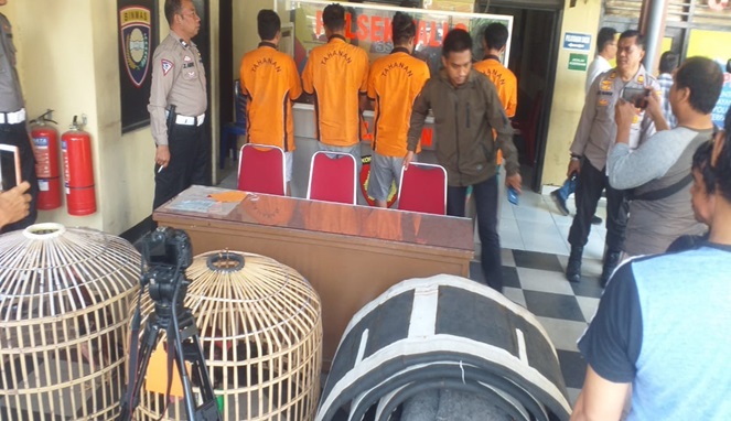 Tahanan Sabung Ayam Dilepas dan Dituding Pungli, Kapolsek Tallo Bantah