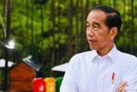 Petisi 100 Tokoh Usulkan Pemakzulan Jokowi