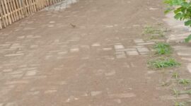 Paving Block Dana Desa di Kalebarembeng Gowa 
