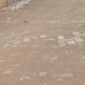Paving Block Dana Desa di Kalebarembeng Gowa 