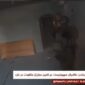 Video Pertempuran Jarak Dekat dengan Hamas, Tentara Israel Jerit Ketakutan