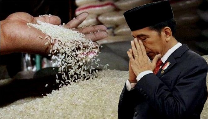Foto Kolase, Harga Beras Mencekik Leher dan Jokowi