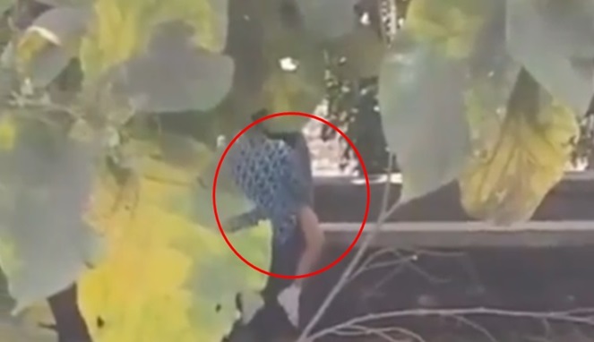 Tangkapan Layar Video, Dua Pelajar SMP Adu Kelamin di Tanggul Kali