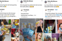 Tangkapan Layar, produk MLj Skin Melisa bebas diedarkan tanpa kantongi izin BPOM