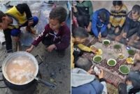 Memilukan, Warga Gaza Masak Rumput Buat Berbuka Puasa