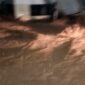 Banjir Bandang Landa Enrekang, Ketinggian Air Capai Dada Orang Dewasa