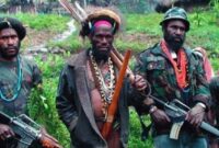 Danramil 1703-04/Aradide Tewas Ditembak OPM