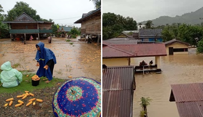 Banjir Terjang 5 Kecamatan di Wajo Sulsel, Puluhan Desa Terisolasi