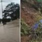 Longsor dan Banjir Bandang di Luwu (Foto Kolase)