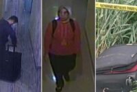 Begini Kronologi dan Motif Pembunuhan Wanita dalam Koper di Cikarang (Foto Kolase)